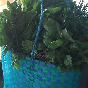 Meet your Posher, Jackie